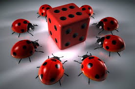 Зеркало Kaktuz Casino